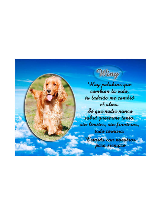 Pergamino rectangular para mascotas